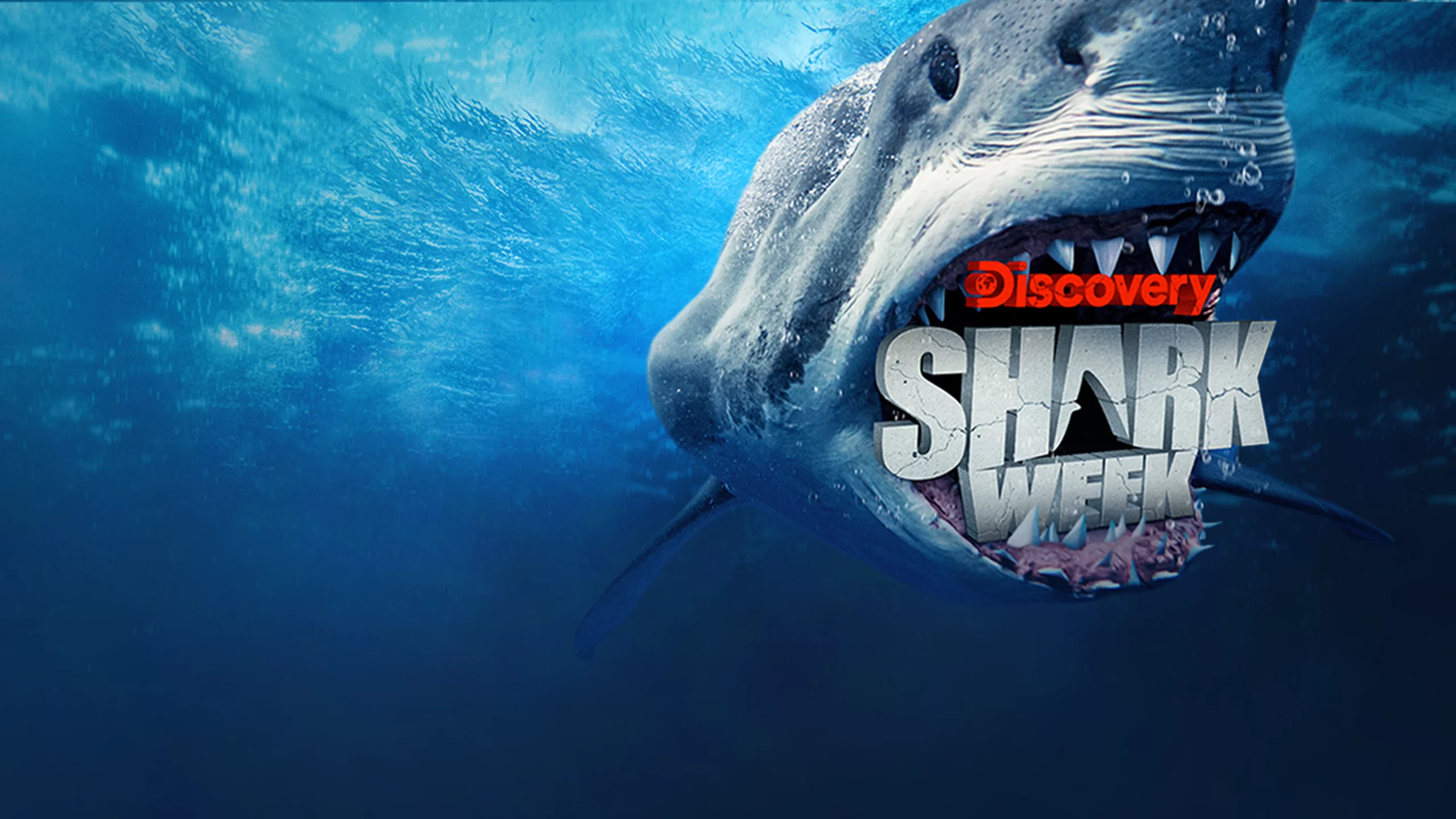 The Discovery Channel’s “Shark Week” Is Packed with Fake Science and False Information.